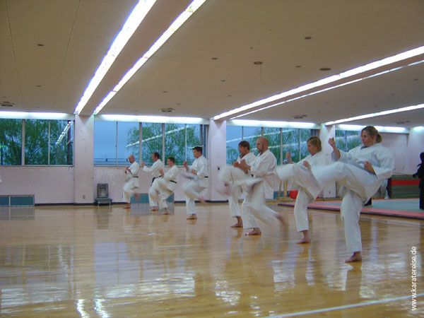 084-Anki-Training2