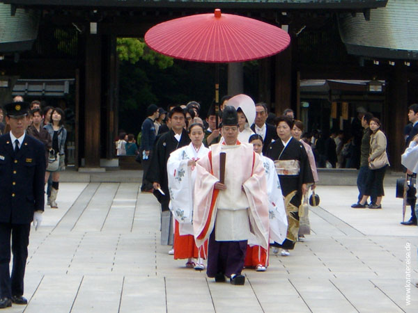 CIMG0041