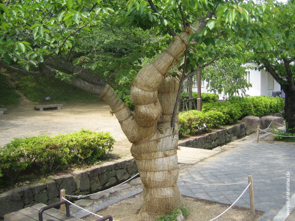 Japan2006 174